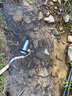 閑鳥充電式潛水泵無線遙控抽水機(jī)農(nóng)用智能灌溉12V鋰電池直流抽水泵 直流充電式潛水泵裸機(jī)【1h續(xù)航】 鋰電池小型抽水泵高揚(yáng)程農(nóng)業(yè)灌溉 曬單實(shí)拍圖