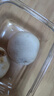 寶寶饞了手指饅頭果蔬營(yíng)養(yǎng)小饅頭兒童早餐面點(diǎn)早茶半成品享寶寶嬰兒食譜 【5件6折】黑豬肉小籠包 400g 曬單實(shí)拍圖