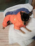 狗狗羽絨服狗狗衣服秋冬裝棉衣泰迪比熊博美小型犬四腳衣加厚冬季 中國紅 M -(胸圍40CM，背長(cháng)28CM，建議體 曬單實(shí)拍圖