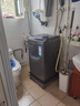 海爾（Haier）波輪洗衣機小型全自動8KG家用XQB80-Z10D0京東自營家電國家補貼以舊換新一級能效宿舍出租房單脫水 曬單實拍圖