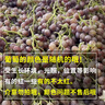 良知農哥【順豐】山東青島大澤山玫瑰香葡萄 玫瑰香葡萄4斤 曬單實(shí)拍圖