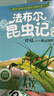 京東超市 智利三文魚(yú)扒 單片真空凈重908g大西洋鮭魚(yú)排生鮮魚(yú)類(lèi) 海鮮水產(chǎn) 曬單實(shí)拍圖