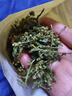 趕黃草花 野生正品四川古藺非特級護肝全株中藥材花茶泡水 500g克 全株趕黃草花:500克/袋 曬單實(shí)拍圖