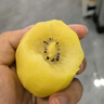 佳沛（zespri）新西蘭  陽(yáng)光金果10粒巨大果單果約144-175g 中秋水果禮盒 獼猴桃 曬單實(shí)拍圖