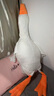EZF大白鵝長條睡枕娃娃毛絨玩具玩偶送對象生日禮物 大白鵝【豆豆絨款】 【小號】90厘米 曬單實(shí)拍圖