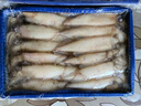 賣魚七郎全籽筆管魚2斤（含保護冰100g）魷魚海兔子籽烏滿籽帶籽軟足類 曬單實拍圖