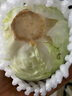 云南新鮮蔬菜圓形鐵頭卷心菜包菜蓮花白圓白菜包心菜現(xiàn)摘綠甘藍 帶箱9-10斤【4-7個】 曬單實拍圖