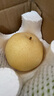 京鮮生 長城老樹皇冠梨 凈重5斤 單果250g+ 新鮮當(dāng)季 生鮮水果 曬單實(shí)拍圖