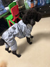憨憨寵狗狗雨衣狗衣服小型犬全包四腳反光戶(hù)外防風(fēng)保暖沖鋒衣服防水雨披 藍色 XXL號建議體重10-15斤 曬單實(shí)拍圖