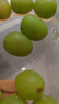 京鮮生陽(yáng)光玫瑰香青提凈重4.5-5斤裝單果10g 葡萄/提子中秋水果源頭直發(fā) 曬單實(shí)拍圖
