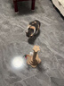 HELLOJOY貓抓柱劍麻貓抓板貓玩具耐抓耐磨不掉屑貓爬架立式自嗨解悶用品 曬單實(shí)拍圖