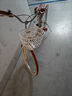 飛鴿（FLYING PIGEON）自行車(chē)成人通勤車(chē)自行車(chē)學(xué)生單車(chē)成人自行車(chē)通勤自行車(chē)女士自行車(chē) 標(biāo)配奶油米|單速|(zhì)輻條輪+禮包 24寸適合150-170cm 曬單實(shí)拍圖