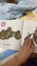 大貓英語(yǔ)分級閱讀預備級1 Big Cat（幼兒園大班、小學(xué)一年級 讀物9冊+家庭閱讀指導1冊 點(diǎn)讀版 附MP3光盤(pán)1張） 曬單實(shí)拍圖