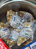 貝司令 鮮活乳山生蠔6XL 凈重4.5斤 6-8只 生鮮海鮮貝類 源頭直發(fā) 曬單實(shí)拍圖
