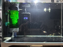 仟銳流化床反氣舉魚(yú)缸生化過(guò)濾器自帶濾材增氧翻滾濾材氣動(dòng)水妖精 LH-300（流化床水妖精） 曬單實(shí)拍圖