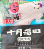 十月稻田 花生米 2斤 (中粒 紅皮 生花生米 東北 五谷 雜糧 粗糧 真空裝) 曬單實拍圖