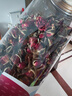 福東海 金邊玫瑰花130g（花中精品）云南花茶干花蕾花草茶養(yǎng)生花茶葉 曬單實拍圖