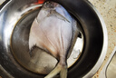 森農樂(lè )舟山銀鯧魚(yú)生鮮特大白鯧魚(yú)鮮活野生新鮮冷凍海鮮昌扁魚(yú)平魚(yú)海魚(yú) 150-200g/條【當季野生 4條裝】 曬單實(shí)拍圖