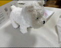 babycare&bct兒童毛絨玩具狗電子哈基米寵物玩偶節日生日七夕禮物西高地犬 曬單實(shí)拍圖