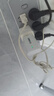 無線貓靈2025新款5G隨身WiFi移動(dòng)無線網(wǎng)絡(luò)卡便攜式高速全國通用流量租房家用寬帶車載智能熱點(diǎn)宿舍上網(wǎng)神器 領(lǐng)秀先鋒版【W(wǎng)iFi6+海思芯片】 白色 曬單實(shí)拍圖