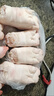 【順豐】10只生豬蹄豬腳豬爪豬蹄小肥蹄散養土豬肉冷凍豬蹄鹵豬蹄 帶筋土豬蹄2只【冷鏈速發(fā)】 曬單實(shí)拍圖
