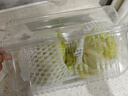 五峰山漢堡玻璃球生菜800g 曬單實(shí)拍圖