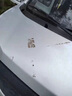 家可美（jiakemei）汽車(chē)專(zhuān)用除膠劑車(chē)身廣告膠貼紙黏膠去除劑不傷漆面去污去膠清潔劑 汽車(chē)除膠劑 500ml*1瓶 曬單實(shí)拍圖