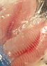 鮮京采 無(wú)抗鯛魚(yú)/羅非魚(yú)排800g/7-9片無(wú)保水魚(yú)片 低脂輕食 中秋燒烤火鍋 曬單實(shí)拍圖