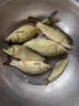 爆護全球餌料窩料釣魚(yú)黑坑野釣鯉魚(yú)鯽魚(yú)草魚(yú)野釣專(zhuān)用魚(yú)餌 爆護全球【一瓶裝】 曬單實(shí)拍圖