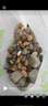 蘇泊爾（SUPOR）養(yǎng)生壺 316L不銹鋼1.5L大容量一體全自動恒溫電熱水壺辦公室家用煮茶壺泡茶器智能控溫保溫預約 升級316L不銹鋼 1.5L 曬單實拍圖