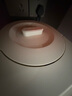 摩飛電器（Morphyrichards）電熱水壺 電熱水瓶燒水壺 家用3L臺式恒溫水壺直飲水機 嬰兒調奶可拆卸內膽沖奶泡奶機MR6073 曬單實(shí)拍圖
