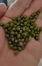 吾谷為伴東北綠豆5斤 綠豆湯 可發(fā)豆芽 打豆?jié){東北雜糧真空包裝大米伴侶 曬單實拍圖