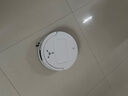 科沃斯T80掃地機器人【七夕情人節(jié)禮物】恒壓滾筒活洗洗地機器人掃拖一體自動清洗智能水箱DEX68國家補貼 曬單實拍圖