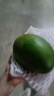 欣格嬰兒玩具游戲桌六面體塞塞樂(lè )拔蘿卜6個(gè)月以上寶寶早教益智玩具 曬單實(shí)拍圖