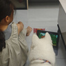 麥富迪狗糧 乖寶樂狗糧幼犬通用均衡營養(yǎng)（牛肉蛋黃）10kg/20斤 曬單實拍圖