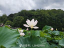 妮維雅（NIVEA）男士潤(rùn)膚霜150ml 長(zhǎng)效滋潤(rùn)清爽保濕面霜護(hù)膚品【臨期清倉(cāng)】 曬單實(shí)拍圖