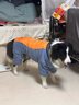 超可耐狗狗衣服加絨保暖加厚大型犬金毛邊牧秋冬裝寵物全包四腳棉衣 天空藍（加厚加絨） 26適合46-55斤 四腳棉服 曬單實(shí)拍圖