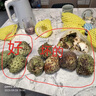 山姆大叔 泰國牛奶釋迦果【JD順豐-多地次日達】番荔枝水果禮盒中秋禮品 【牛乳級】巨無(wú)霸果王｜單果350g+ 【精品向陽(yáng)果】9斤禮盒裝｜果香味更足｜凈8.5 曬單實(shí)拍圖