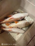 安大俠 百潔布【7cm*5m】1.7cm加厚款 工業(yè)鍋具灶具除銹布拉金剛砂絲布除銹拋光抹布清潔布 綠色一卷AQ11431 曬單實(shí)拍圖