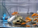 創(chuàng)寧變頻潛水泵 CN-9500-25W 10檔流量調(diào)節(jié) 魚缸假山噴泉池循環(huán)抽水 曬單實(shí)拍圖