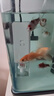 歡刻德國魚(yú)馬桶魚(yú)缸糞便分離器過(guò)濾器凈水循環(huán)三合一氧氣泵制氧一體機 15W【強勁吸糞/魚(yú)便分離】AQ-1000F 曬單實(shí)拍圖