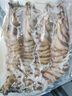 野生花蝦特大斑節蝦九節蝦基圍蝦大蝦竹節蝦黑虎蝦海蝦明蝦鮮活 500g(凈重)  鮮蝦速凍《1斤4-5條》23-25cm 曬單實(shí)拍圖