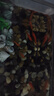 招財寵物魚(yú)冷水觀(guān)賞草金魚(yú)錦鯉魚(yú)好養耐活包郵包活 【1-3厘米】 招財金魚(yú)3條裝 曬單實(shí)拍圖
