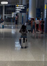 Airwheel愛爾威電動行李箱可騎行拉桿箱可坐可代步鋁框箱包20英寸登機(jī)箱 曬單實拍圖