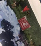 朝上TF卡適用于任天堂switch內存卡游戲機適用NS存儲卡micro SD儲存卡Lite高速U3 256G【游戲機專(zhuān)用高速內存卡】 曬單實(shí)拍圖