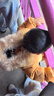 戴維貝拉（DAVE＆BELLA）保暖連帽90絨男童羽絨衣兒童冬裝寶寶羽絨服冬季外出服小男孩上衣 杏黃色DB15565-NN 100 cm（建議身高90-100cm） 曬單實(shí)拍圖