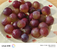 食品級草莓陶瓷餐盤可愛家用宿舍草帽盤蛋糕盤高顏值精致餐具碗盤 8.5英寸-草莓蛋糕裙花邊盤1個裝 曬單實拍圖