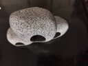 三湖慈鯛罐魚(yú)缸陶罐繁殖罐短鯛罐迷你鸚鵡躲避屋蝦窩蝦躲避罐 疊加躲避罐中號(hào) 曬單實(shí)拍圖