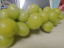 京鮮生 陽光玫瑰青提 4.5斤裝 單果10g 葡萄/提子生鮮水果 源頭直發(fā)包郵 曬單實(shí)拍圖