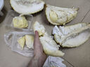 京鮮生 進口金枕頭榴蓮 凈重6-7斤 1個裝  鮮果 生鮮 新鮮水果 曬單實拍圖
